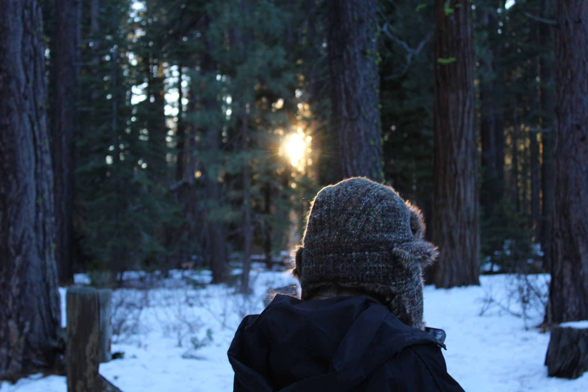 nature_0036