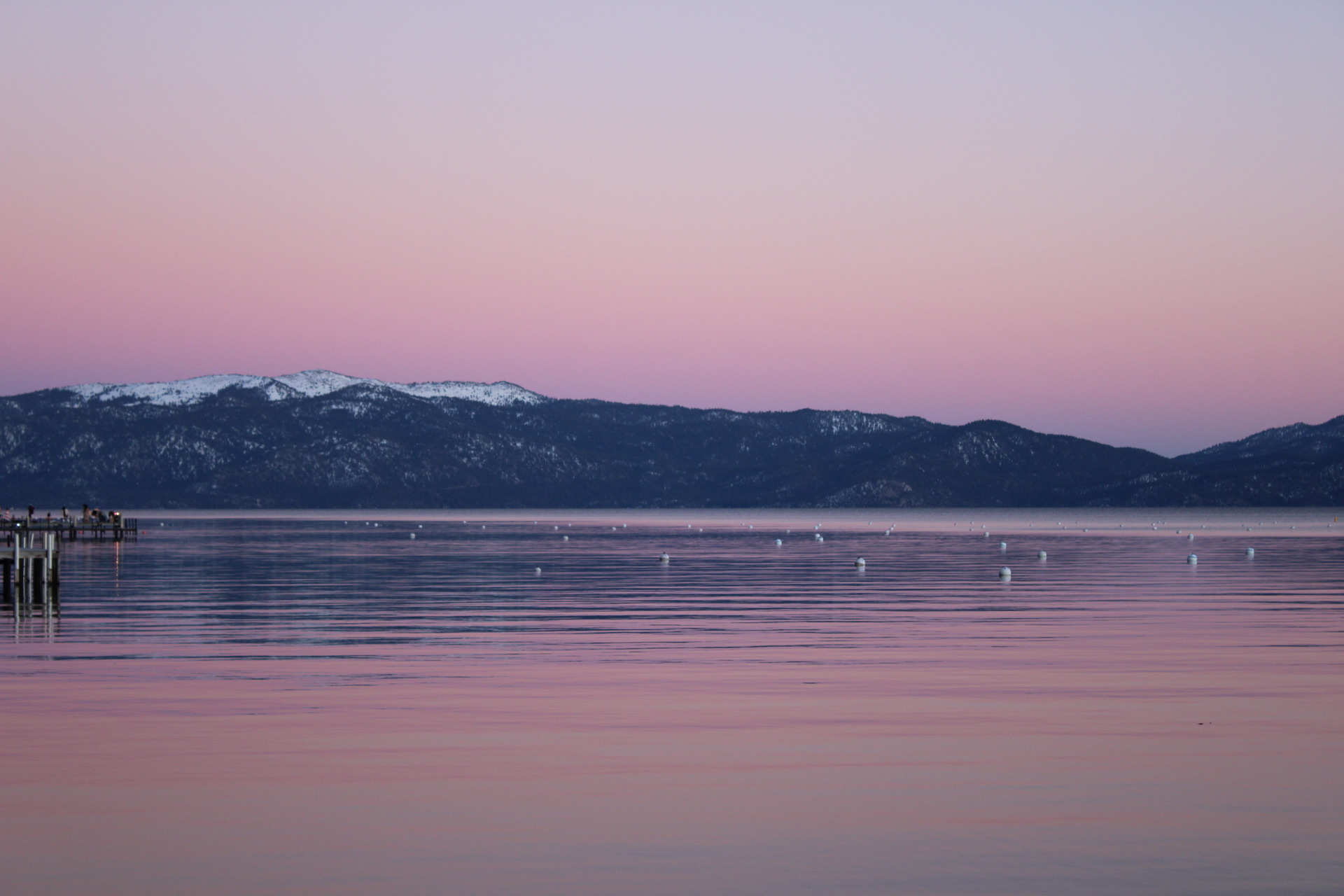nature_0115